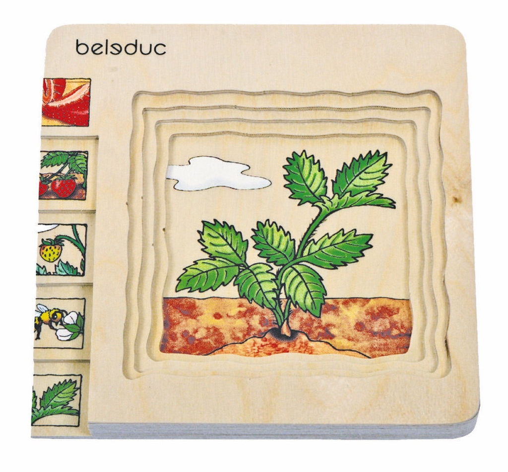 Multilayer Puzzles - Strawberry