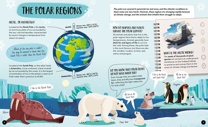 What, How, Why - The Earth